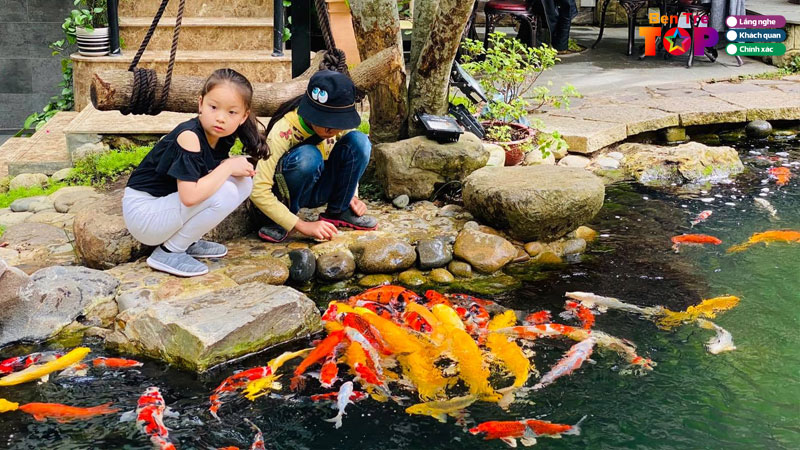 top-5-dia-chi-quan-cafe-ca-koi-tai-ben-tre-sieu-chill-bentretoplist