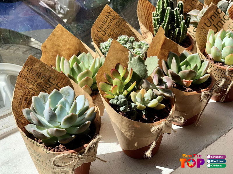 zangs-garden-bentretoplist