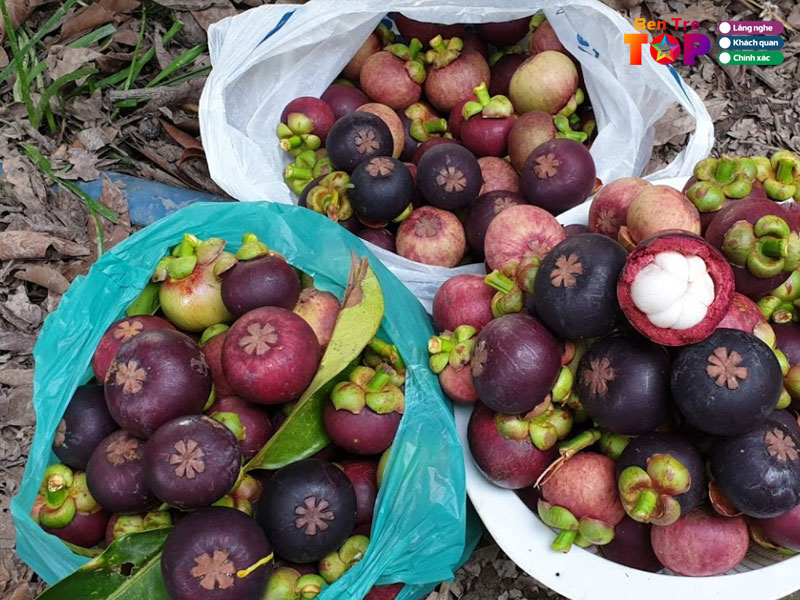 cac-hoat-dong-trai-nghiem-tai-con-phung-ben-tre-4-bentretoplist