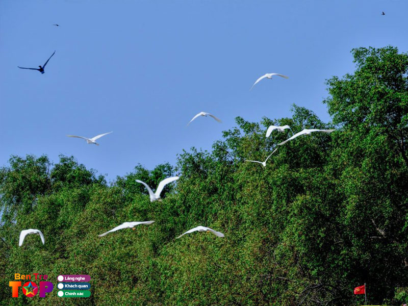 cac-trai-nghiem-thu-vi-co-tai-nong-trai-hai-van-san-chim-vam-ho-2-bentretoplist