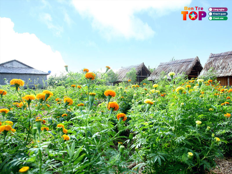 cac-trai-nghiem-thu-vi-co-tai-nong-trai-hai-van-san-chim-vam-ho-5-bentretoplist