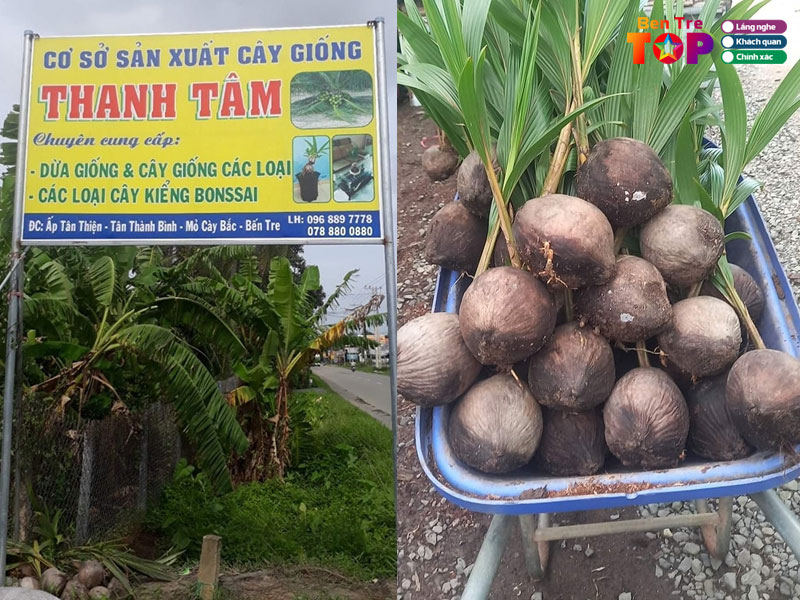 co-so-san-xuat-dua-giong-thanh-tam-bentretoplist