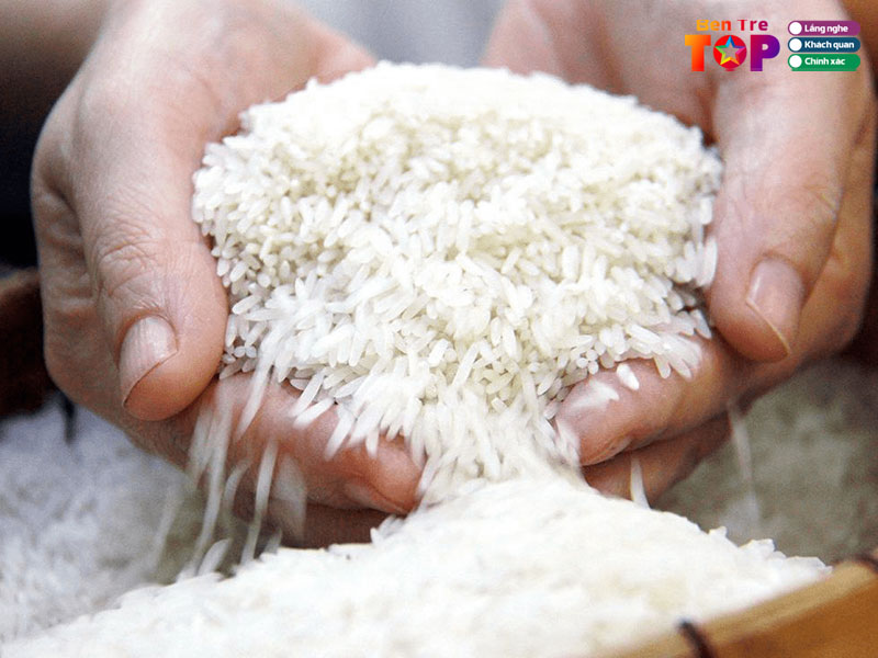 dai-ly-gao-thanh-tam-bentretoplist