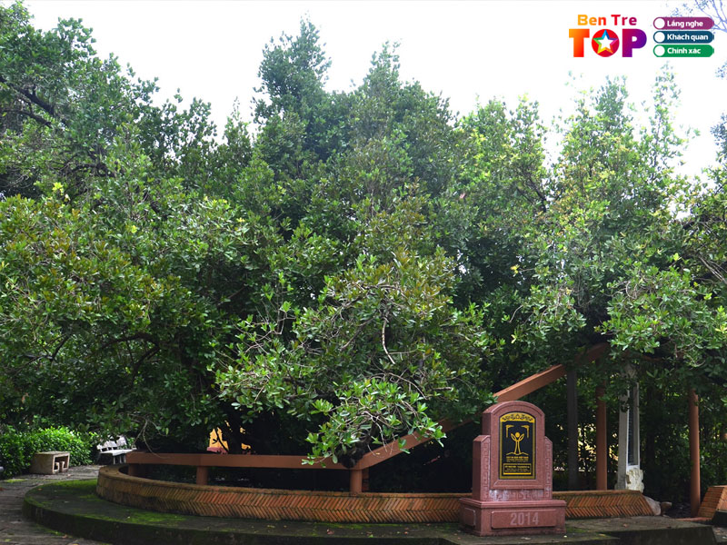 dinh-phu-le-bentretoplist