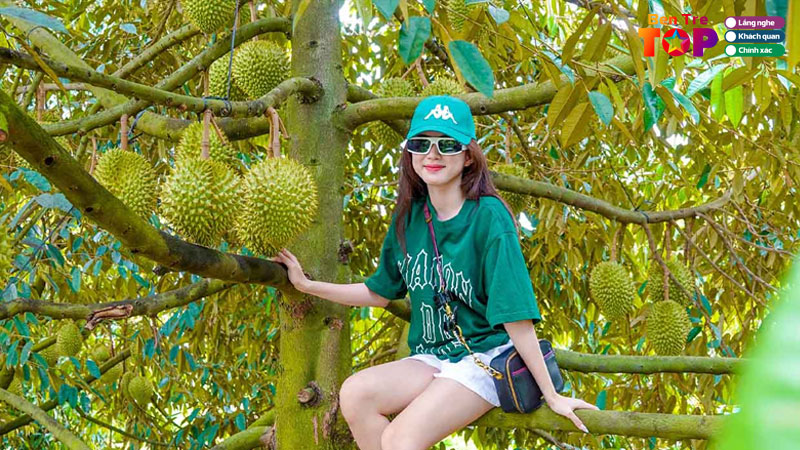 top-15-miet-vuon-o-ben-tre-nuc-tieng-thu-hut-du-khach-bentretoplist