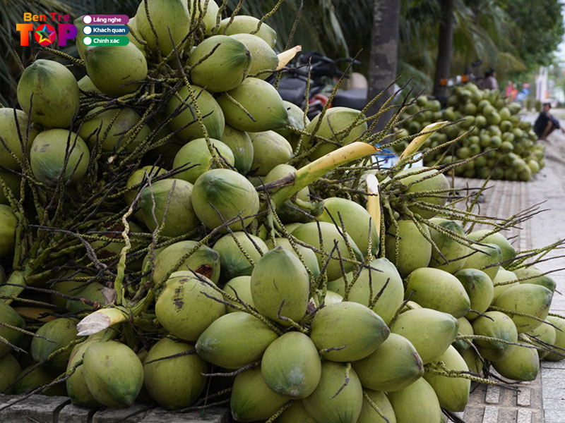 vua-dua-xiem-ba-tri-ben-tre-bentretoplist