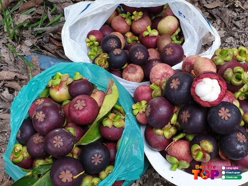 vuon-thanh-son-bentretoplist