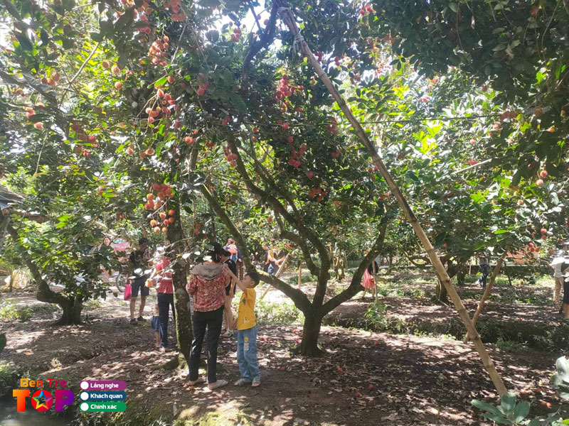 vuon-trai-cay-hung-bentretoplist