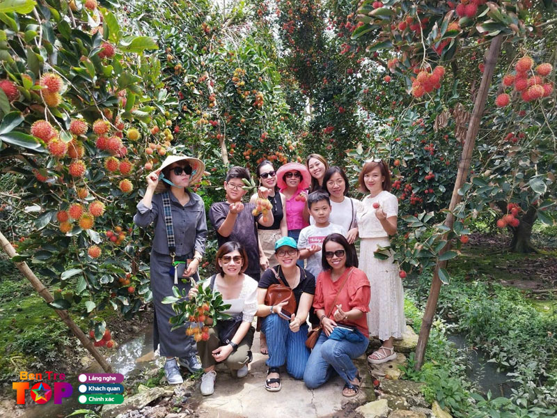 vuon-trai-cay-que-ta-bentretoplist