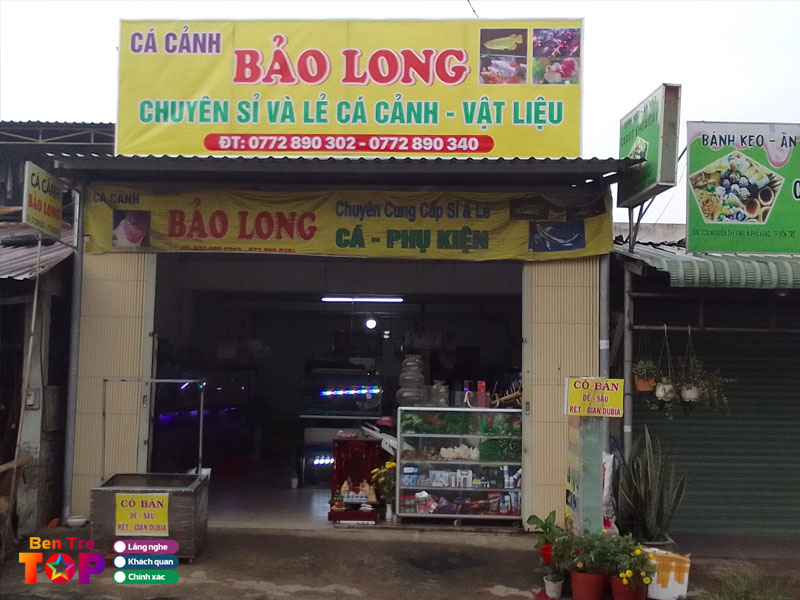 ca-canh-bao-long-bentretoplist