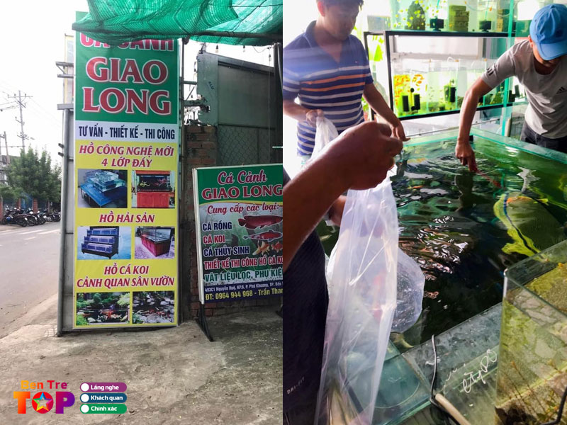 ca-canh-giao-long-bentretoplist