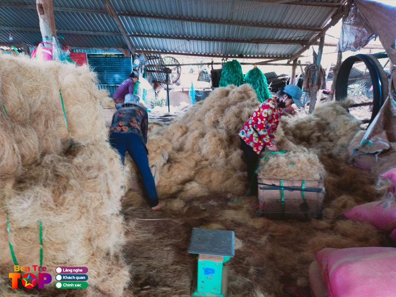 co-so-kinh-doanh-chi-xo-dua-hue-cuoc-xuan-binh-bentretoplist