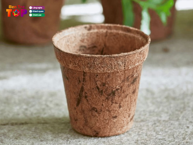 co-so-my-nghe-dua-nam-trang-bentretoplist