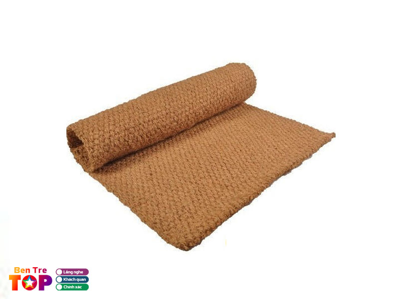 cong-ty-tnhh-dua-tan-hoi-bentretoplist