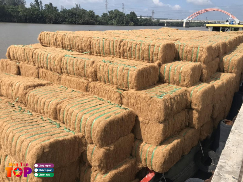 cong-ty-tnhh-san-xuat-thuong-mai-chi-xo-dua-dieu-phong-bentretoplist