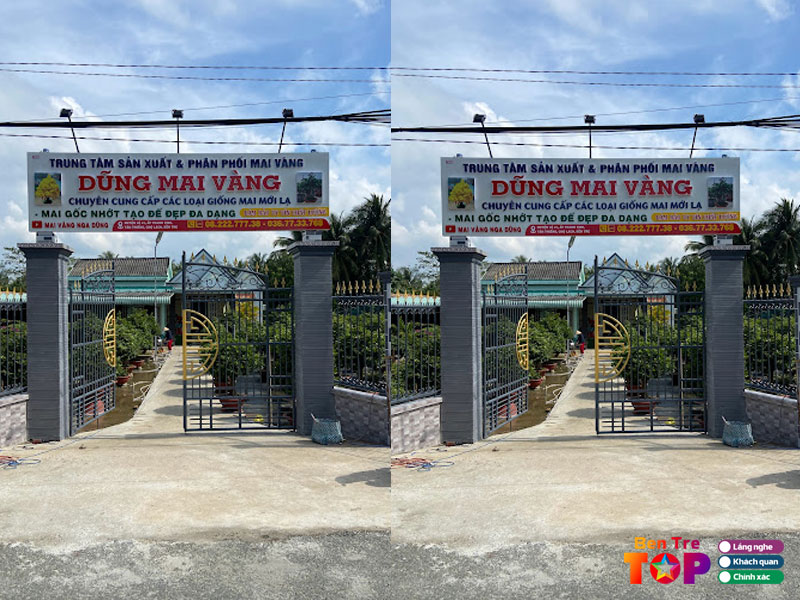 dung-mai-vang-bentretoplist