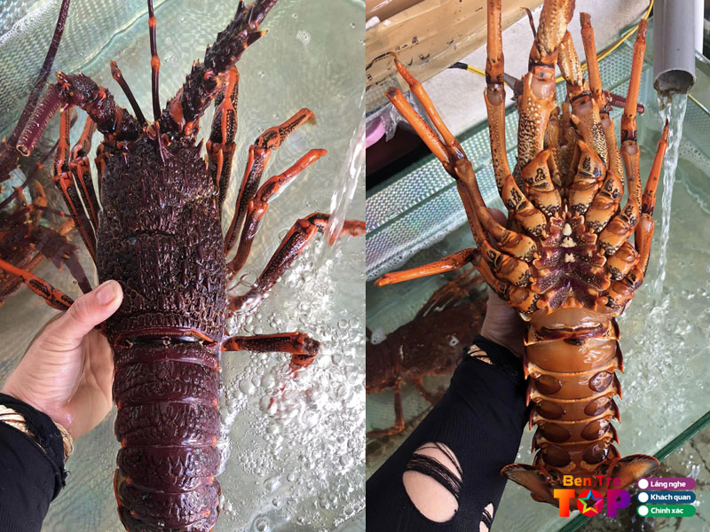 hai-san-chi-ngan-bentretoplist