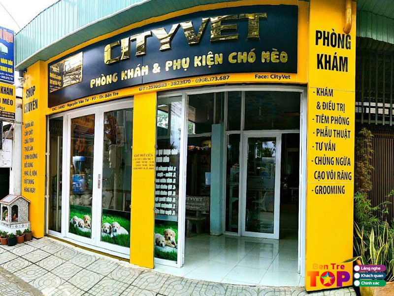 phong-kham-va-phu-kien-cho-meo-cityvet-bentretoplist