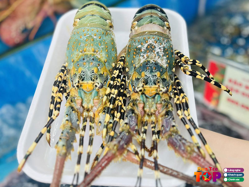 tom-hum-canada-mrd-bentretoplist