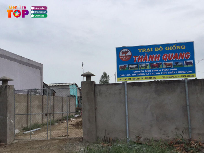 Trai-bo-giong-thanh-quang-bentretoplist