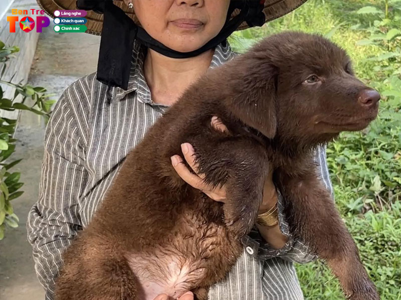 trai-cho-ba-xu-cho-xu-bac-ha-quoc-khuyen-bentretoplist