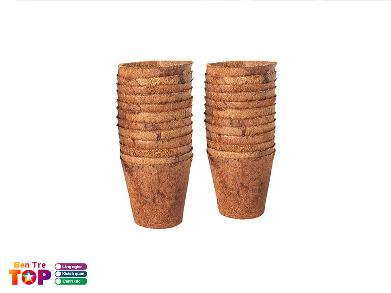 vitaconut-dua-tam-viet-bentretoplist