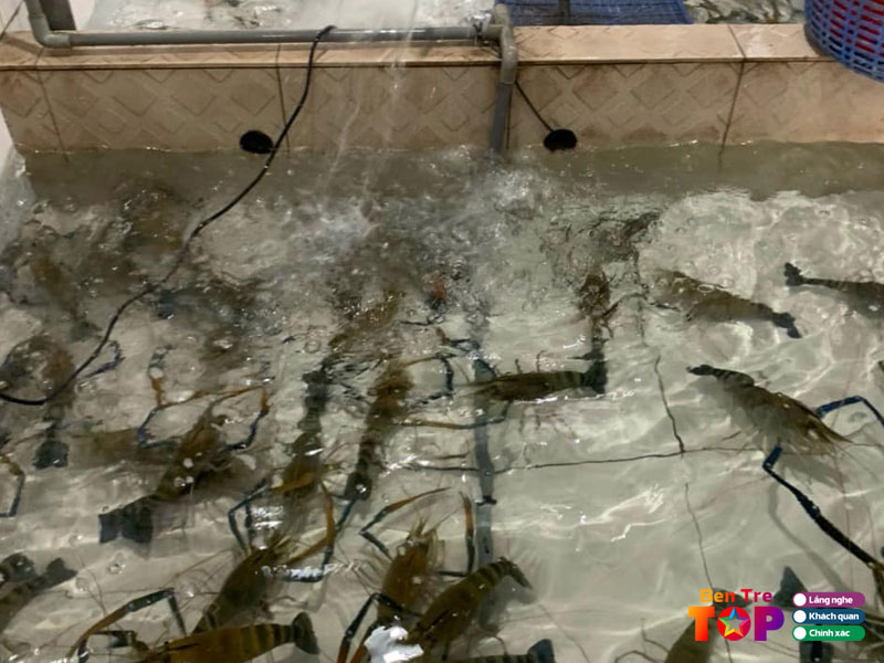 vua-tom-cang-song-ben-tre-bentretoplist