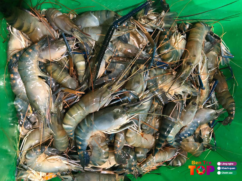 vua-tom-cang-xanh-huyen-trang-bentretoplist