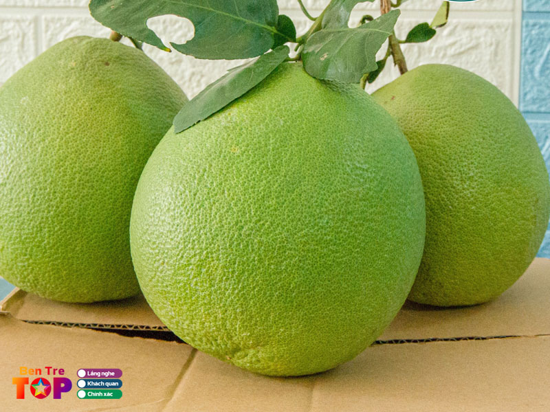 vua-trai-cay-huynh-son-bentretoplist