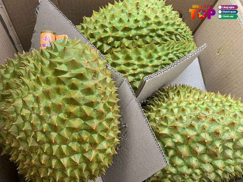 vua-trai-cay-huynh-son-bentretoplist