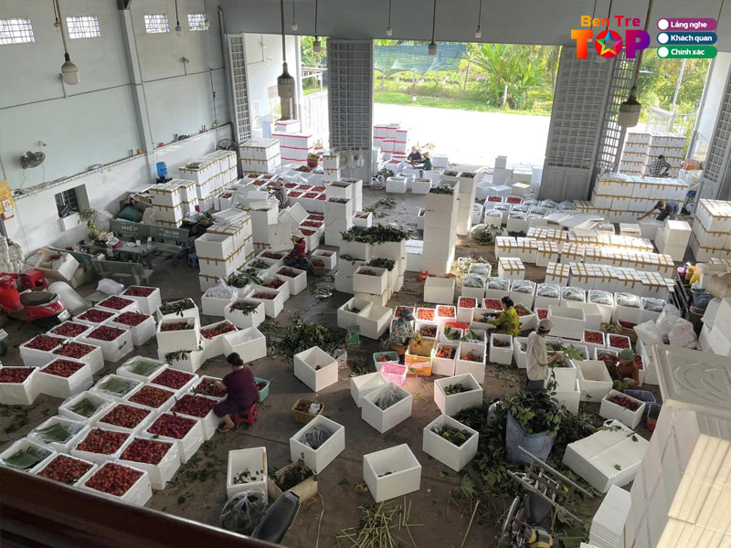 vua-trai-cay-minh-tuan-bentretoplist