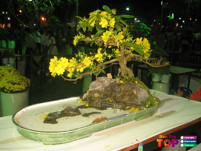 vuon-mai-tuyen-nguyen-bentretoplist