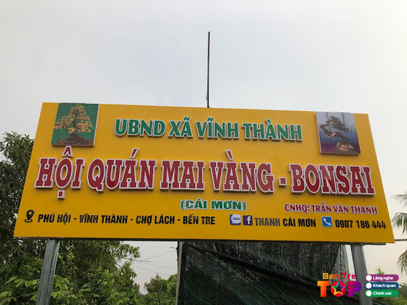 vuon-mai-vang-ut-thanh-bentretoplist