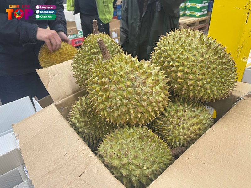 vuon-trai-cay-ba-ngoi-bentretoplist