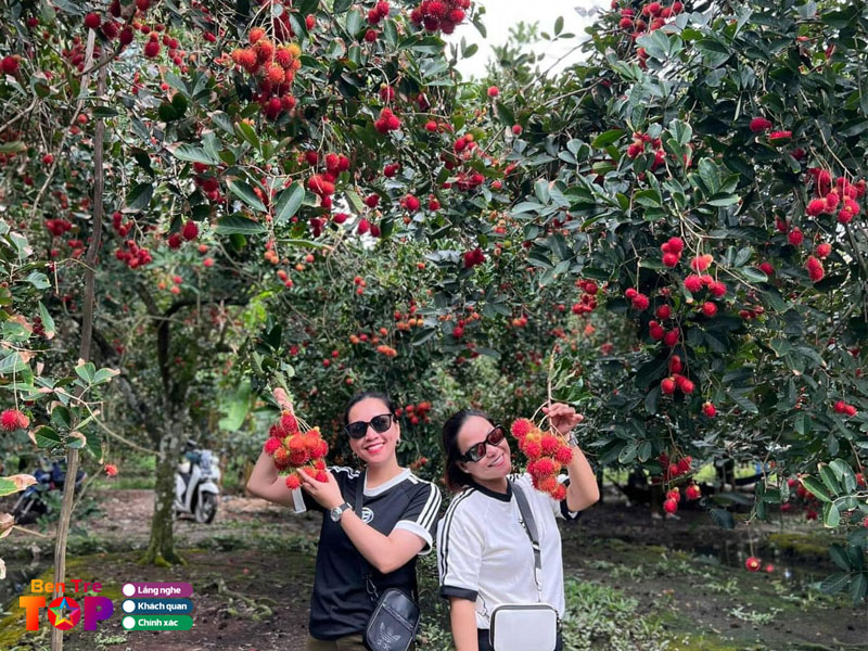 vuon-trai-cay-hue-bentretoplist