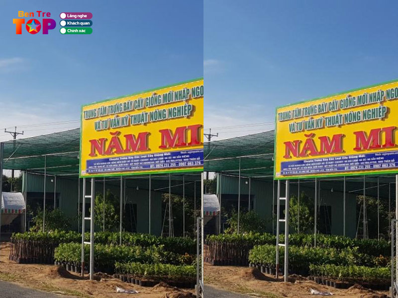 co-so-san-xuat-cay-giong-nam-mi-bentretoplist