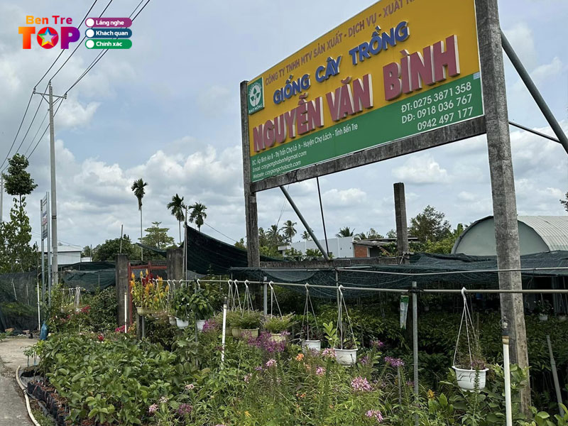 cong-ty-tnhh-giong-cay-trong-nguyen-van-binh-bentretoplist