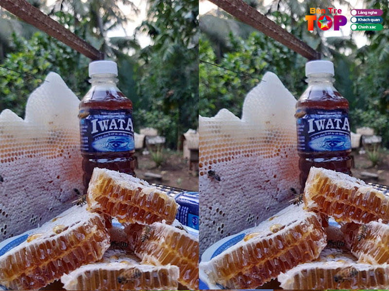 Mat-ong-nguyen-chat-ut-em-bentretoplist