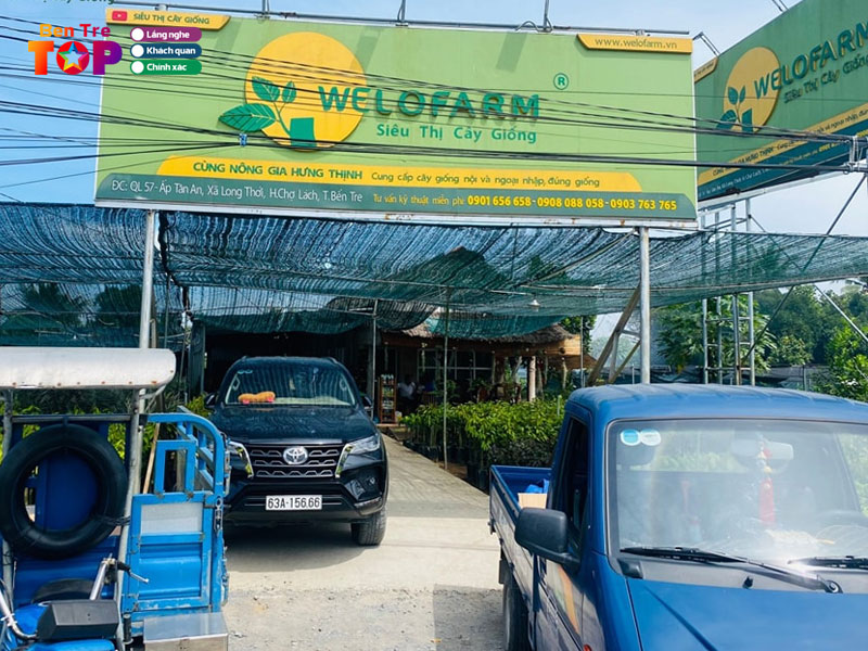 sieu-thi-cay-giong-welofarm-bentretoplist