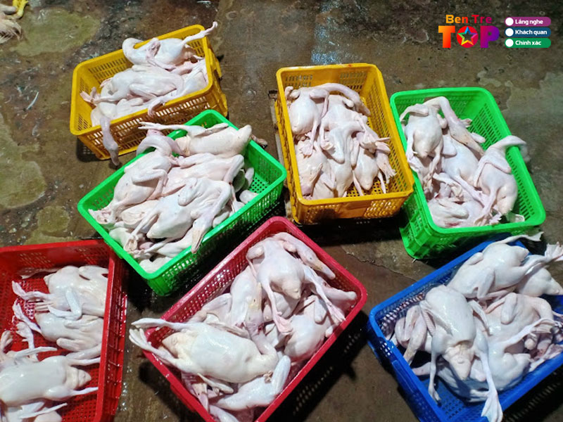 thao-mua-ban-ga-vit-bentretoplist