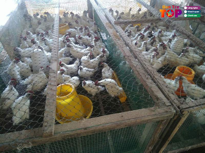 trai-ga-ac-quoc-hai-bentretoplist