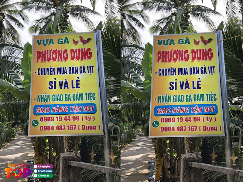 vua-ga-phuong-dung-bentretoplist