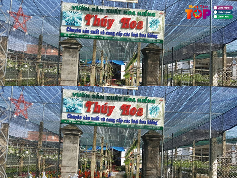 vuon-hoa-kieng-thuy-hoa-bentretoplist