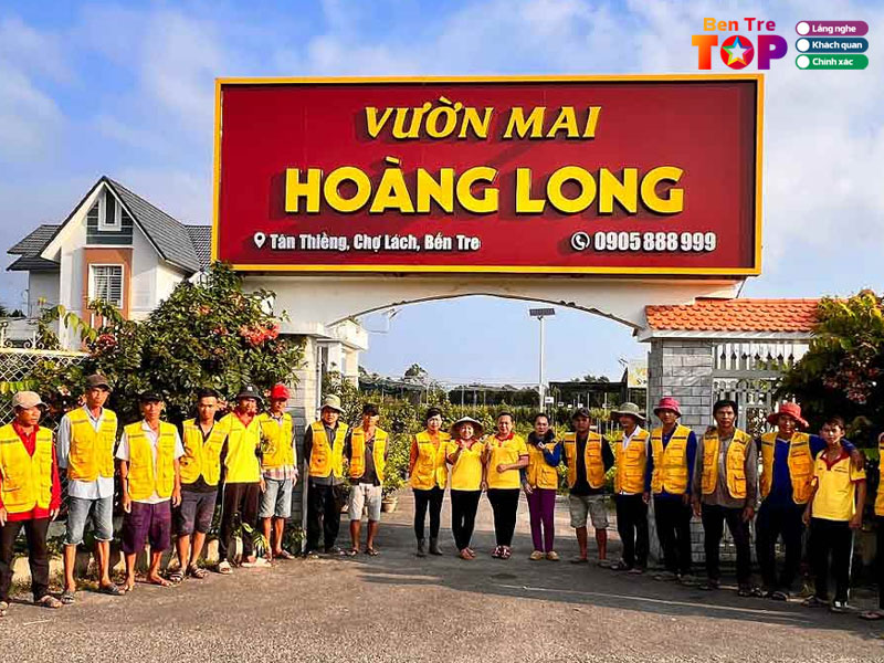 vuon-mai-hoang-long-dia-chi-ban-hoa-tet-ben-tre-dep-bentretoplist
