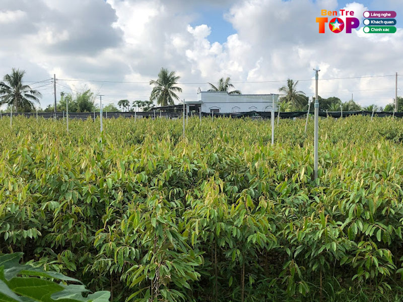 vuon-uom-cay-giong-8-lang-bentretoplist