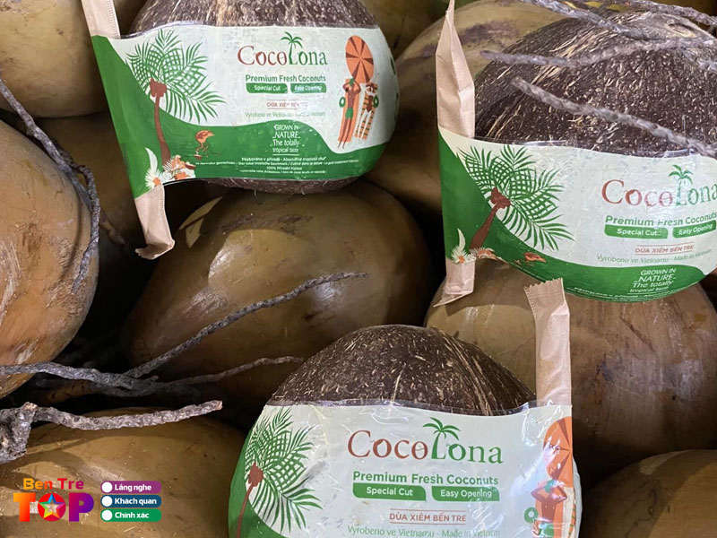 Cong-ty-tnhh-asavina-bentretoplist