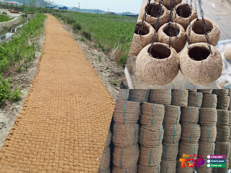 Dua-dong-duong-bentretoplist