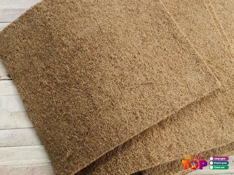 Dua-huu-co-bentretoplist