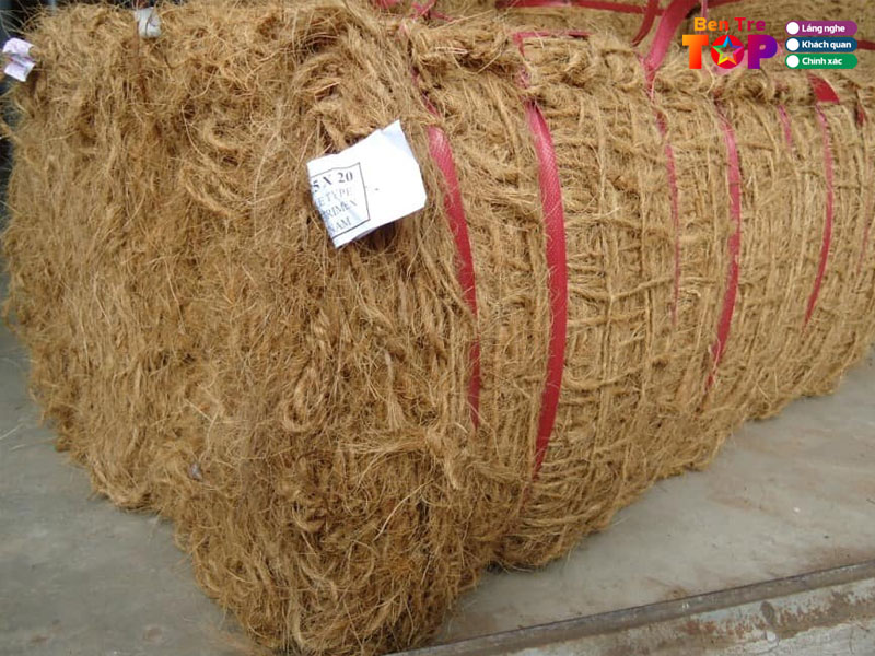 Dua-viet-cohafu-bentretoplist