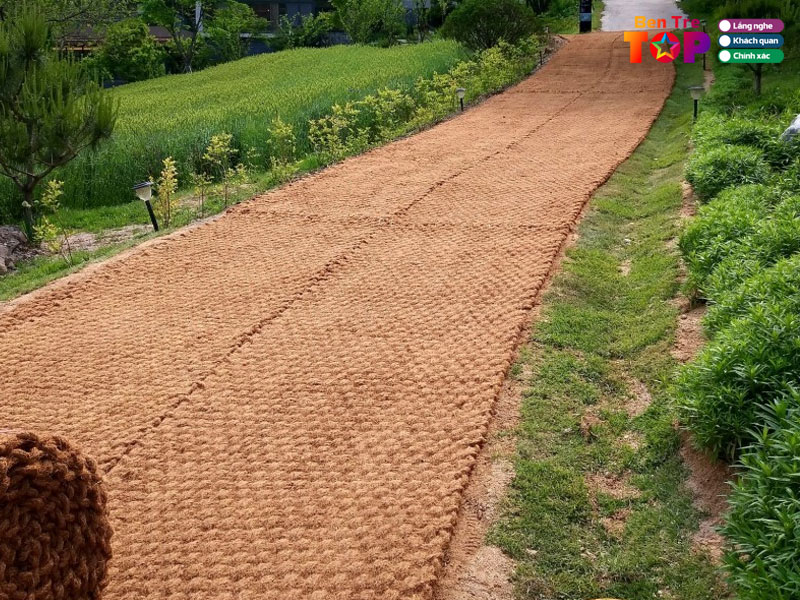 Pk-coco-bentretoplist